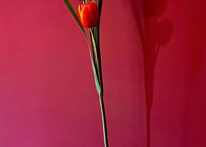 Luxe * Σορέντο